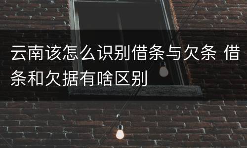 云南该怎么识别借条与欠条 借条和欠据有啥区别