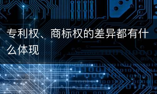 专利权、商标权的差异都有什么体现