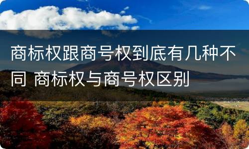 商标权跟商号权到底有几种不同 商标权与商号权区别