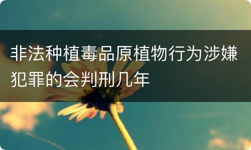 非法种植毒品原植物行为涉嫌犯罪的会判刑几年