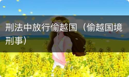 刑法中放行偷越国（偷越国境刑事）