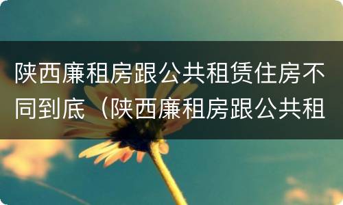 陕西廉租房跟公共租赁住房不同到底（陕西廉租房跟公共租赁住房不同到底怎么办）