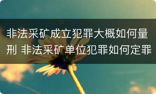 非法采矿成立犯罪大概如何量刑 非法采矿单位犯罪如何定罪?