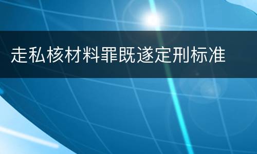 走私核材料罪既遂定刑标准