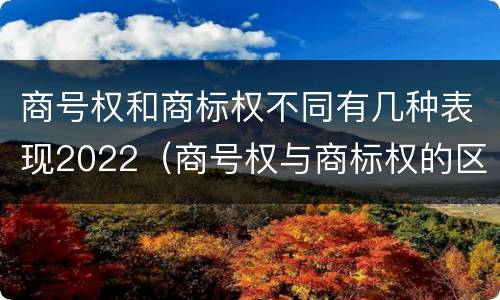 商号权和商标权不同有几种表现2022（商号权与商标权的区别）