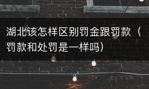 湖北该怎样区别罚金跟罚款（罚款和处罚是一样吗）