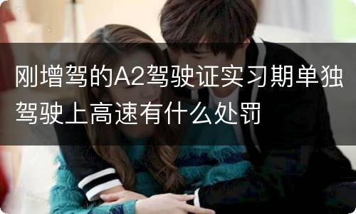 刚增驾的A2驾驶证实习期单独驾驶上高速有什么处罚