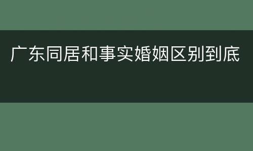 广东同居和事实婚姻区别到底