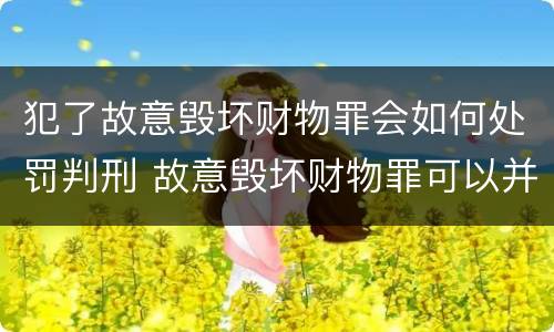 犯了故意毁坏财物罪会如何处罚判刑 故意毁坏财物罪可以并处罚金吗?