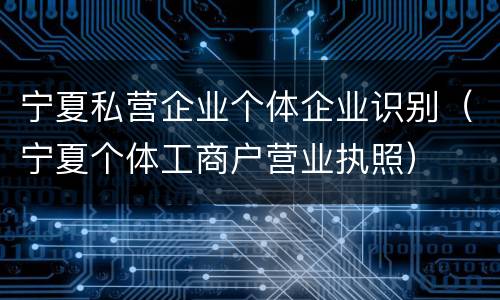 宁夏私营企业个体企业识别（宁夏个体工商户营业执照）