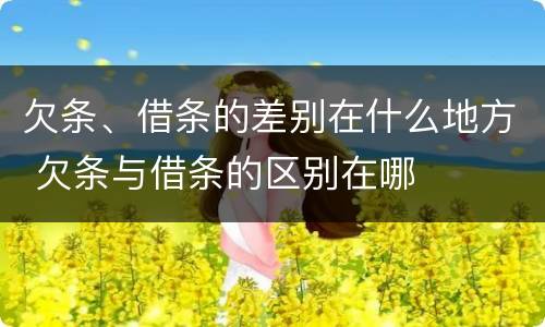 欠条、借条的差别在什么地方 欠条与借条的区别在哪