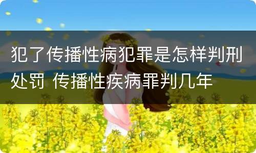 犯了传播性病犯罪是怎样判刑处罚 传播性疾病罪判几年