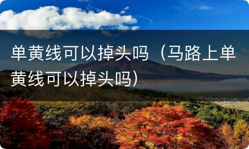 单黄线可以掉头吗（马路上单黄线可以掉头吗）