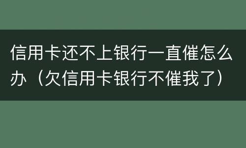 信用卡还不上银行一直催怎么办（欠信用卡银行不催我了）