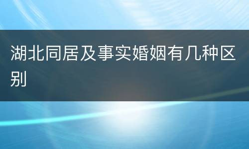 湖北同居及事实婚姻有几种区别