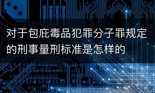 对于包庇毒品犯罪分子罪规定的刑事量刑标准是怎样的