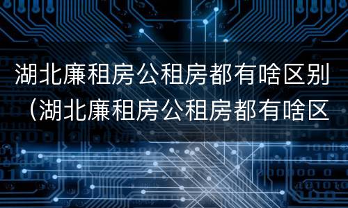 湖北廉租房公租房都有啥区别（湖北廉租房公租房都有啥区别啊）