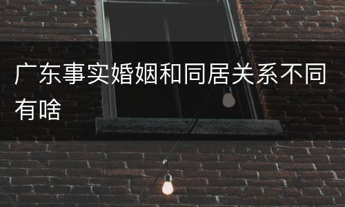 广东事实婚姻和同居关系不同有啥