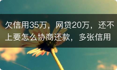 欠信用35万，网贷20万，还不上要怎么协商还款，多张信用卡