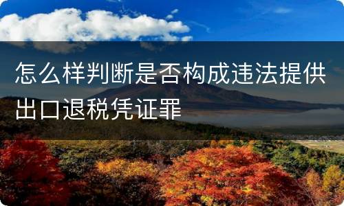 怎么样判断是否构成违法提供出口退税凭证罪