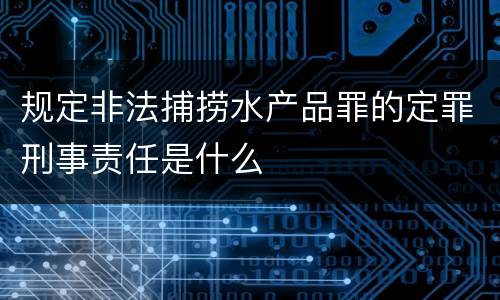 规定非法捕捞水产品罪的定罪刑事责任是什么