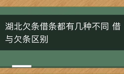 湖北欠条借条都有几种不同 借与欠条区别
