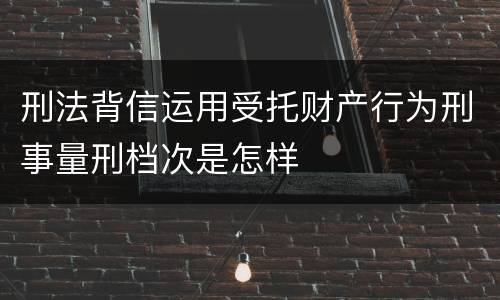 刑法背信运用受托财产行为刑事量刑档次是怎样