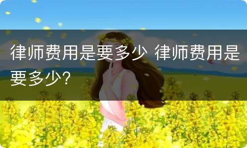 律师费用是要多少 律师费用是要多少?