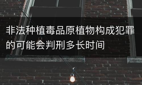 非法种植毒品原植物构成犯罪的可能会判刑多长时间