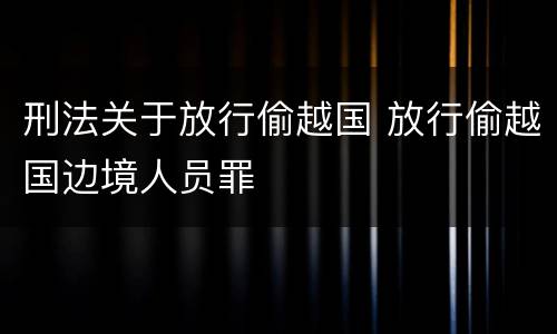 刑法关于放行偷越国 放行偷越国边境人员罪