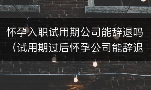 怀孕入职试用期公司能辞退吗（试用期过后怀孕公司能辞退员工吗）
