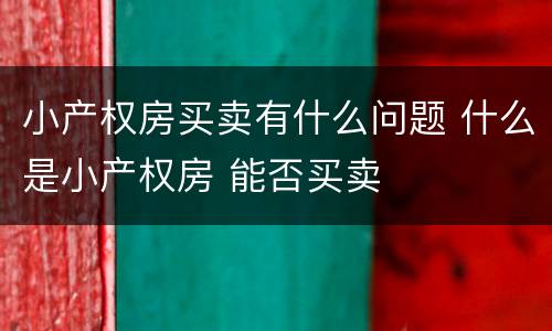小产权房买卖有什么问题 什么是小产权房 能否买卖