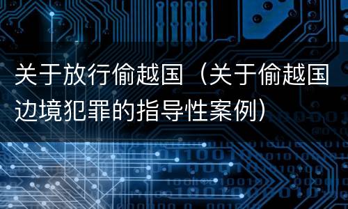 关于放行偷越国（关于偷越国边境犯罪的指导性案例）