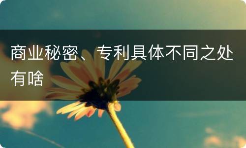 商业秘密、专利具体不同之处有啥