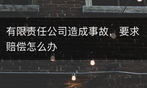 有限责任公司造成事故，要求赔偿怎么办