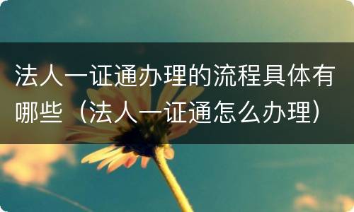 法人一证通办理的流程具体有哪些（法人一证通怎么办理）