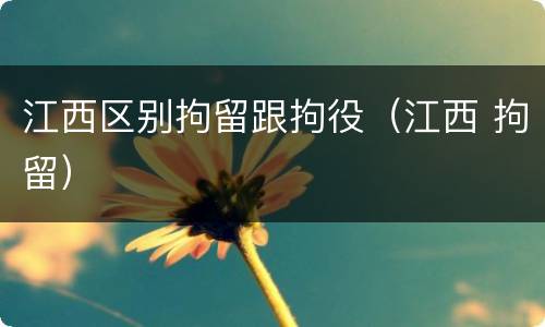 江西区别拘留跟拘役（江西 拘留）