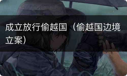 成立放行偷越国（偷越国边境立案）