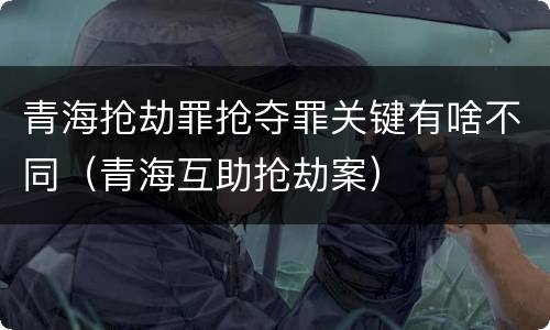青海抢劫罪抢夺罪关键有啥不同（青海互助抢劫案）