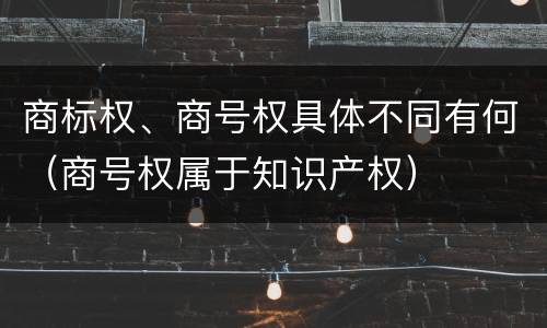 商标权、商号权具体不同有何（商号权属于知识产权）
