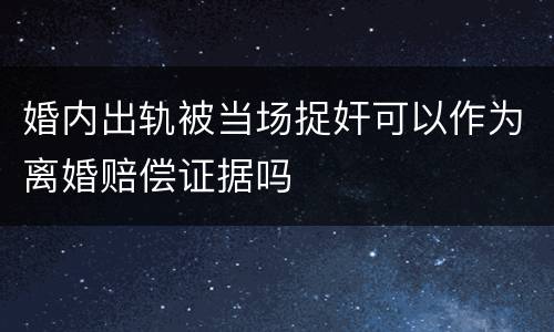 婚内出轨被当场捉奸可以作为离婚赔偿证据吗