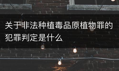 关于非法种植毒品原植物罪的犯罪判定是什么