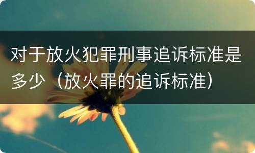 对于放火犯罪刑事追诉标准是多少（放火罪的追诉标准）