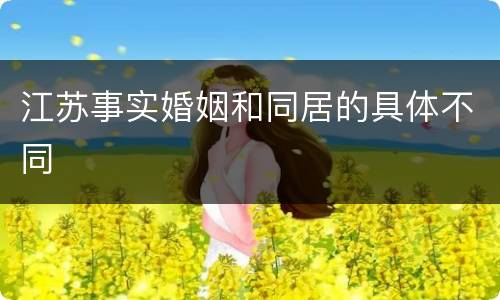 江苏事实婚姻和同居的具体不同