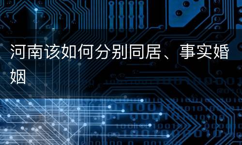 河南该如何分别同居、事实婚姻