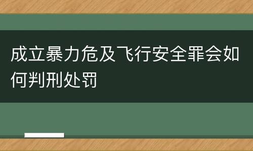 成立暴力危及飞行安全罪会如何判刑处罚
