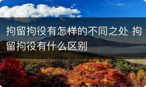 拘留拘役有怎样的不同之处 拘留拘役有什么区别