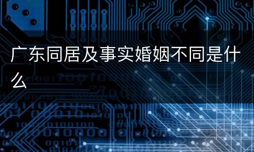 广东同居及事实婚姻不同是什么