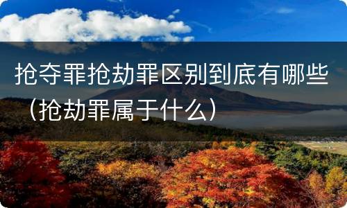 抢夺罪抢劫罪区别到底有哪些（抢劫罪属于什么）