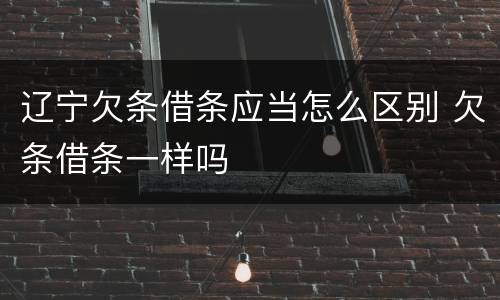 辽宁欠条借条应当怎么区别 欠条借条一样吗